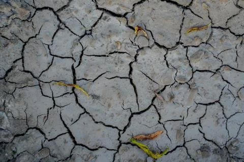 Vegetable plot in rural field of Spain Foto stock