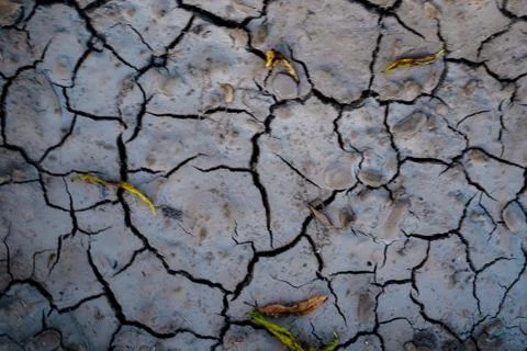 Vegetable plot in rural field of Spain Foto stock