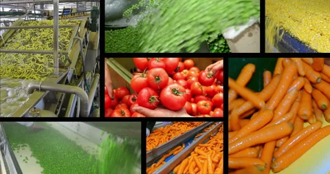 Vegetable processing in food industry, multi screen Stock Footage 163219384