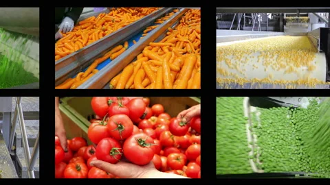 Vegetable processing in food industry, multi screen Stock Footage 163245523
