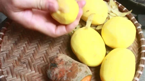 Vegetable processing Stock Footage 302159607