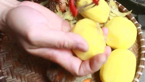Vegetable processing Stock Footage 302159615