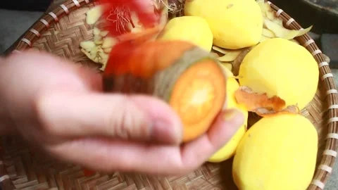 Vegetable processing Stock Footage 302159623