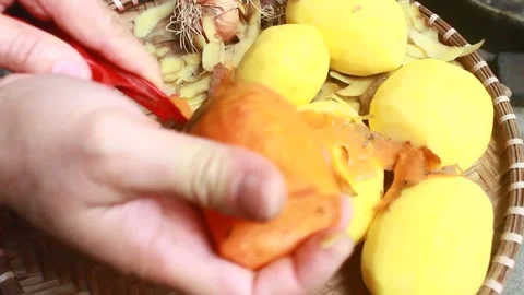 Vegetable processing Stock Footage 302159626