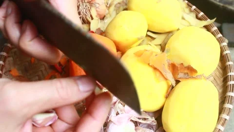 Vegetable processing Stock Footage 302159677