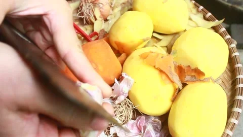 Vegetable processing Stock Footage 302159679