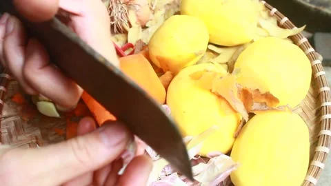 Vegetable processing Stock Footage 302159692