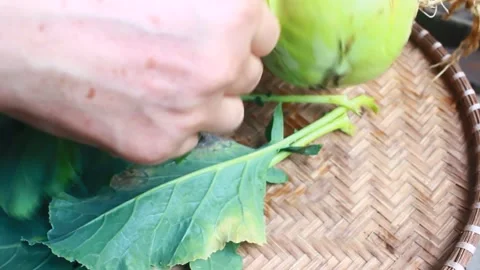 Vegetable processing Stock Footage 302159698
