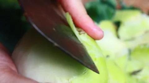 Vegetable processing Stock Footage 302159704