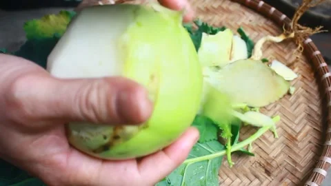 Vegetable processing Stock Footage 302159705