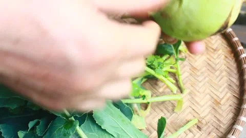 Vegetable processing Stock Footage 302159706