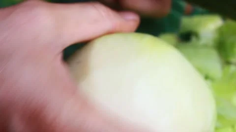 Vegetable processing Stock Footage 302159712