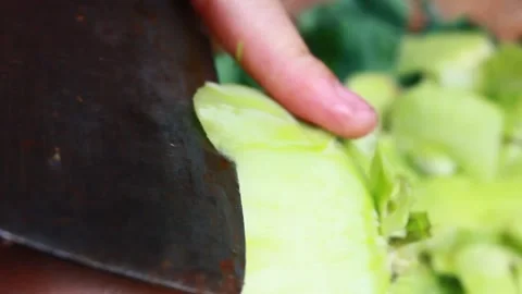 Vegetable processing Stock Footage 302159715