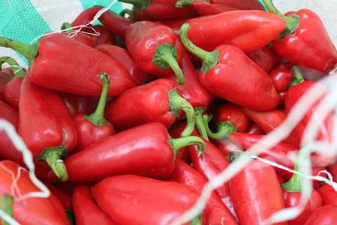 Vegetable produce 13 Stock Photos
