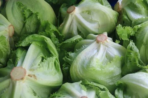 Vegetable produce 2 Stock Photos