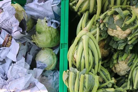 Vegetable produce 20 Stock Photos