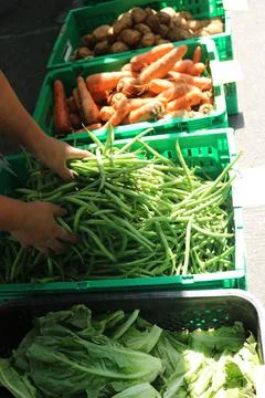 Vegetable produce 23 Stock Photos