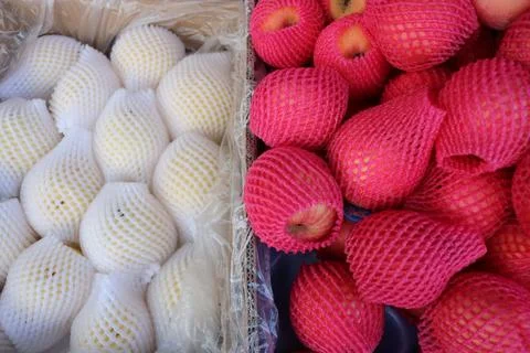Vegetable produce 9 Stock Photos