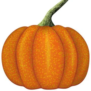 Vegetable pumpkin Stock Illustration