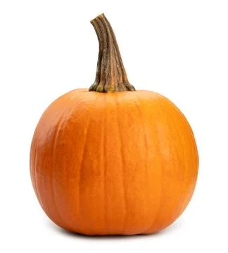 Vegetable pumpkin isolated on a white background Stock Photos
