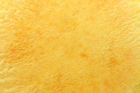 The vegetable pumpkin Stock Photos