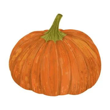 Vegetable pumpkin. Vector. Autumn pumpkin symbol for Halloween or Thanksgiv.. Stock Illustration