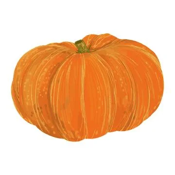Vegetable pumpkin. Vector. Autumn pumpkin symbol for Halloween or Thanksgivin Stock Illustration