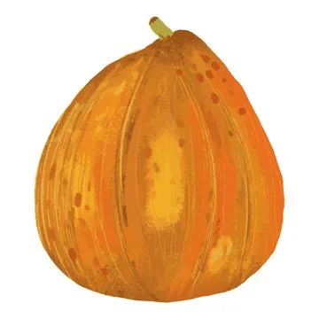 Vegetable pumpkin. Vector. Autumn pumpkin symbol for Halloween or Thanksgivin Stock Illustration