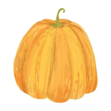 Vegetable pumpkin. Vector. Autumn pumpkin symbol for Halloween or Thanksgiv.. Stock Illustration