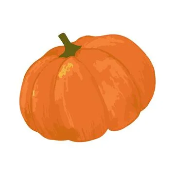 Vegetable pumpkin. Vector. Autumn pumpkin symbol for Halloween or Thanksgivin Stock Illustration