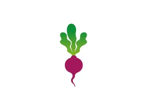 Vegetable radishand Rettich logo design Stock Illustration