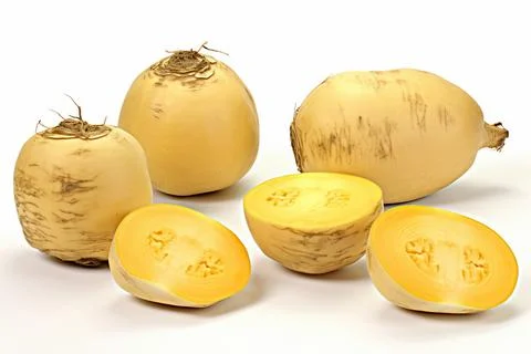 Vegetable, raw potatoes on white background, isolated. Stock Photos