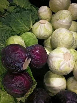 Vegetable - red cabbage white cabbage and savoy cabbage Stock Photos