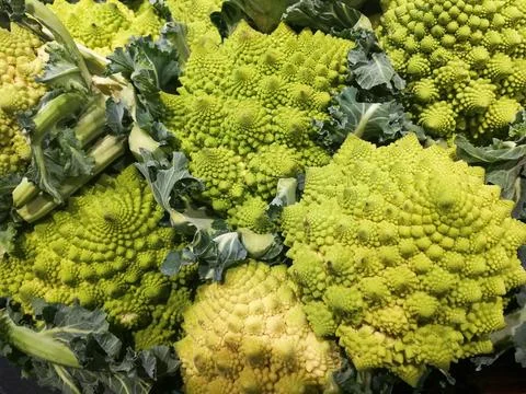Vegetable - Romanesco cabbage Stock Photos