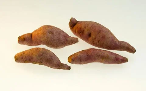 Vegetable, root used for cooking have nutritious value Stock Photos
