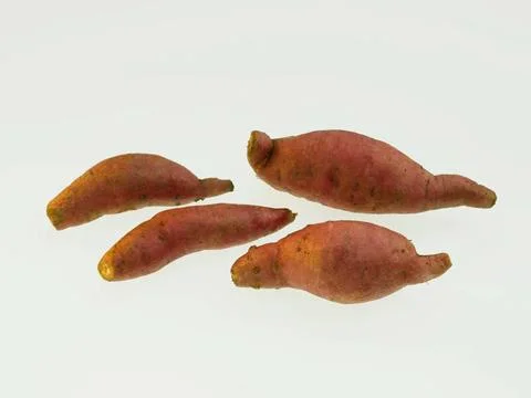 Vegetable, root used for cooking have nutritious value Copyright: xHarixMa... Stock Photos