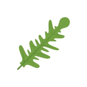 Vegetable rucola icon flat vector. Arugula salad Illustrazione stock