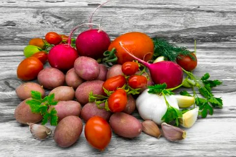 Vegetable rustic still life Stock Photos