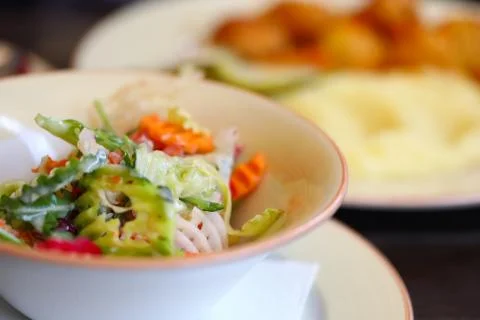 Vegetable salad and second meat dish with side dish closeup. Stock Photos