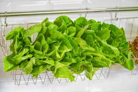 Vegetable Salad in basket Stock Photos