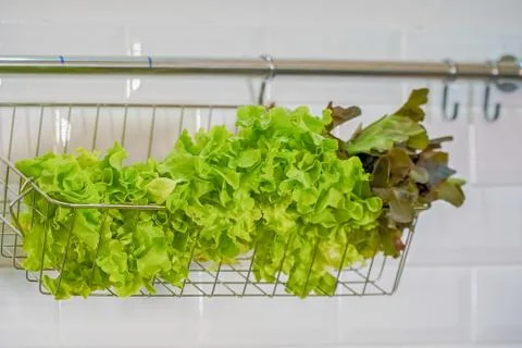 Vegetable Salad in basket Stock Photos