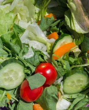 Vegetable Salad Close Up Stock Photos