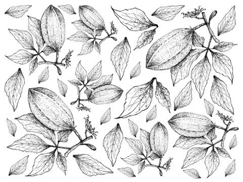 Vegetable Salad, Illustration Background Pattern of Hand Drawn Sketch Delicio Stock Illustration