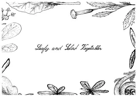 Vegetable Salad, Illustration Frame of Hand Drawn Sketch Delicious Fresh Gree Stock Illustration