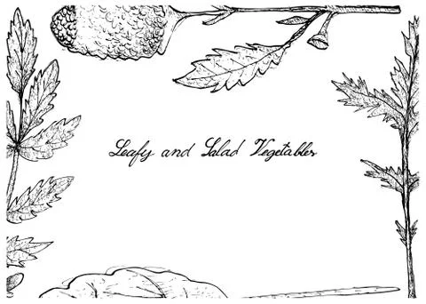 Vegetable Salad, Illustration Frame of Hand Drawn Sketch Delicious Fresh Gree Stock Illustration