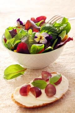 Vegetable salad Stock Photos
