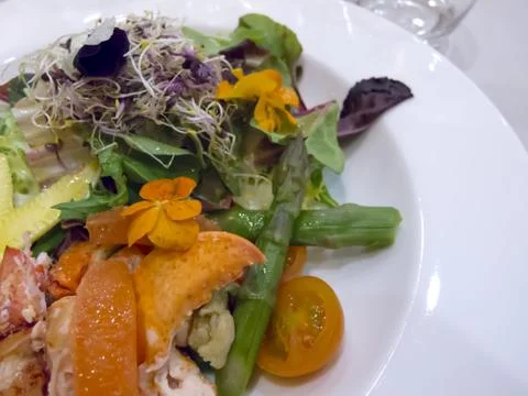 Vegetable Salad Foto stock