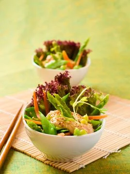 Vegetable salad Stock Photos