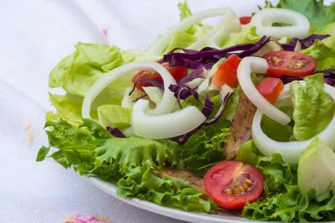 Vegetable salad on plate Stock Photos
