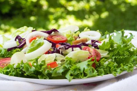 Vegetable salad on plate Stock Photos